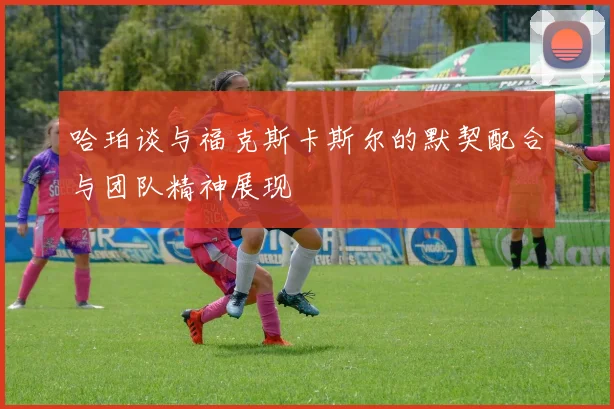 哈珀谈与福克斯卡斯尔的默契配合与团队精神展现