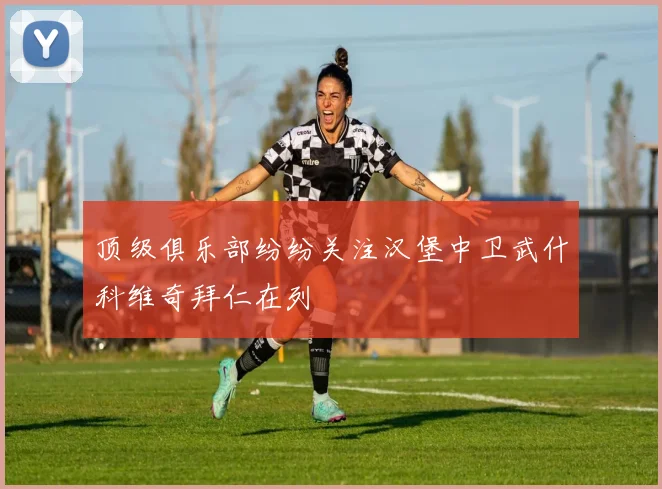 顶级俱乐部纷纷关注汉堡中卫武什科维奇拜仁在列